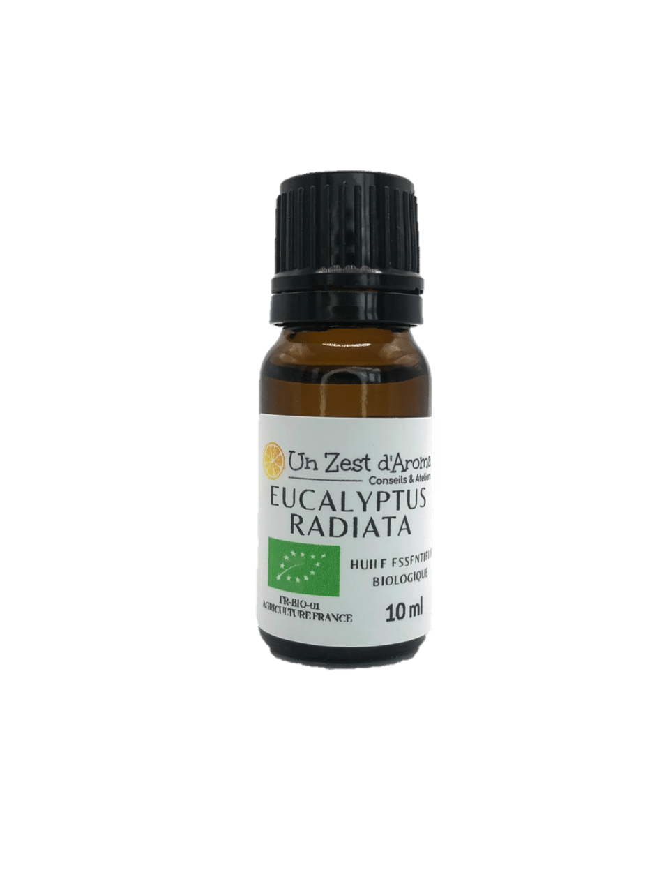 Eucalyptus Radiata bio – Image 2