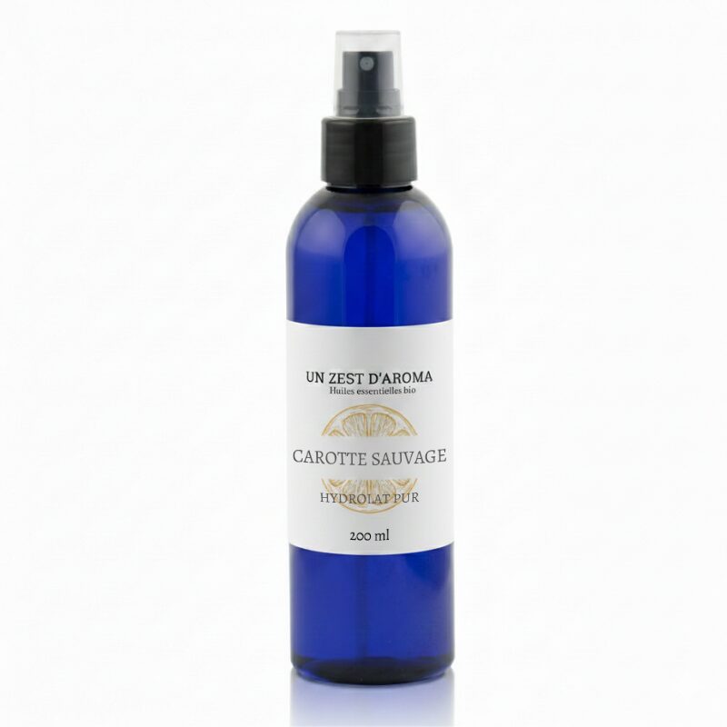 Carotte Sauvage bio